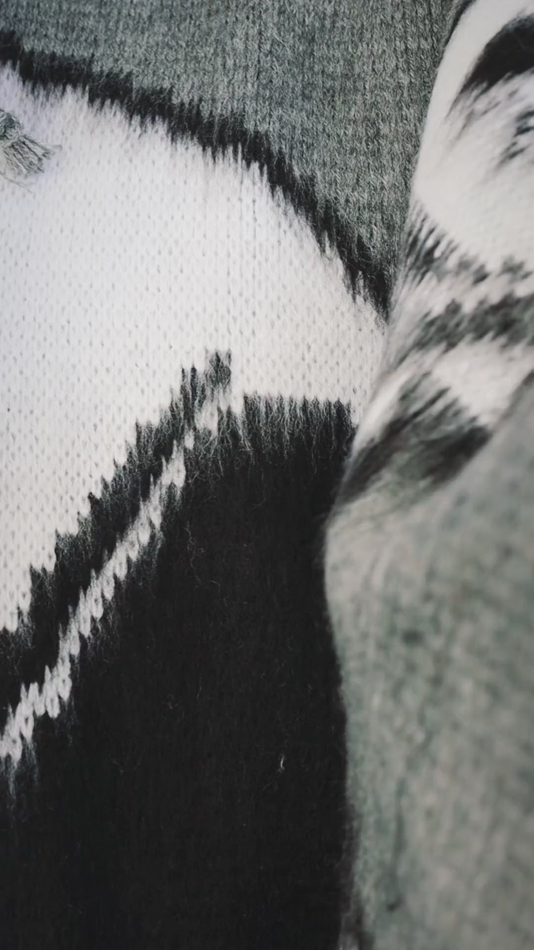 JHS-009 - Alpaca Poncho